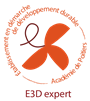 logo E3D expert